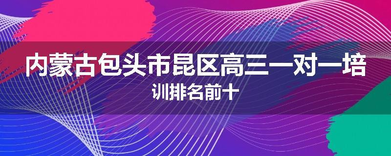 内蒙古包头市昆区高三一对一培训排名前十