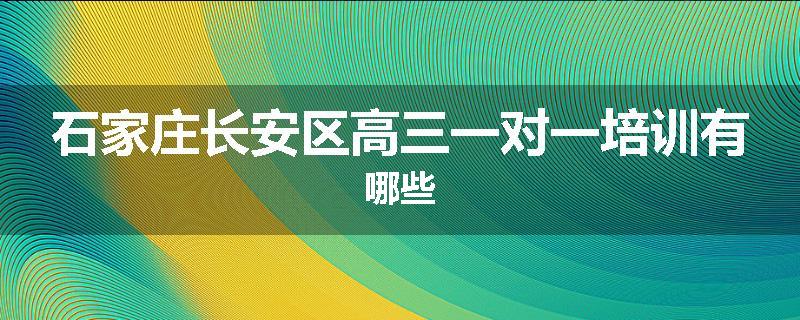 石家庄长安区高三一对一培训有哪些