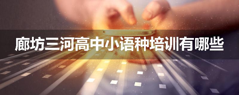 廊坊三河高中小语种培训有哪些