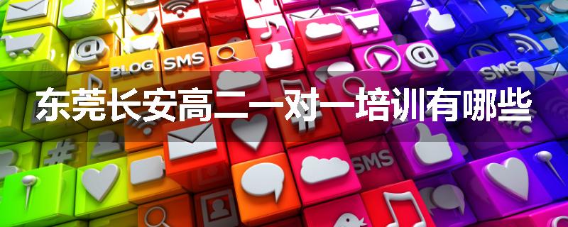 东莞长安高二一对一培训有哪些