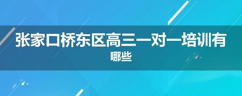 张家口桥东区高三一对一培训有哪些