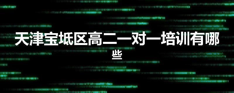 天津宝坻区高二一对一培训有哪些