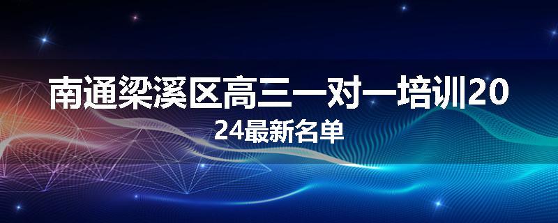 南通梁溪区高三一对一培训2024最新名单