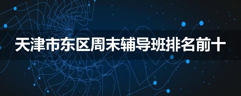 天津市东区周末辅导班排名前十