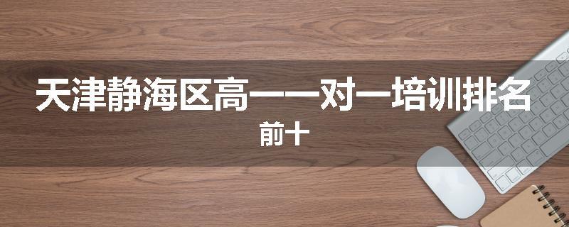 天津静海区高一一对一培训排名前十