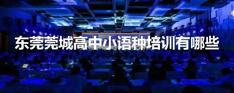 东莞莞城高中小语种培训有哪些