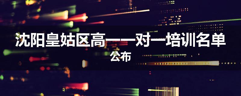 沈阳皇姑区高一一对一培训名单公布