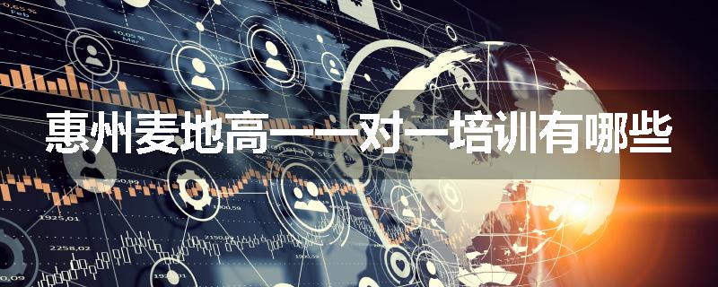 惠州麦地高一一对一培训有哪些