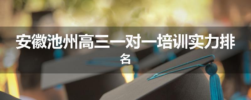 安徽池州高三一对一培训实力排名