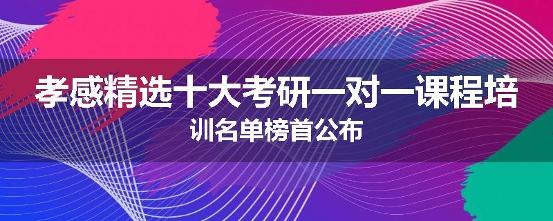 孝感精选十大考研一对一课程培训名单榜首公布