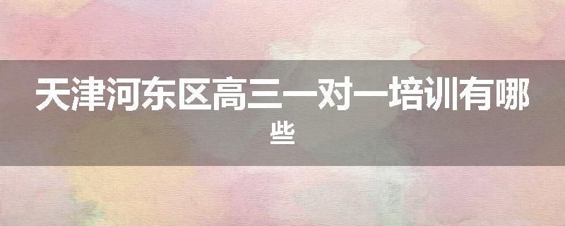 天津河东区高三一对一培训有哪些