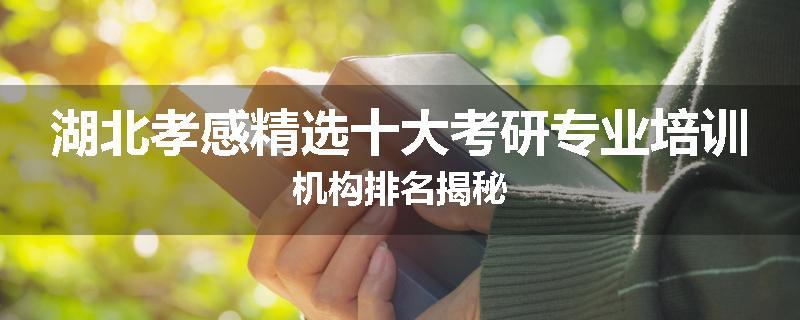 湖北孝感精选十大考研专业培训机构排名揭秘
