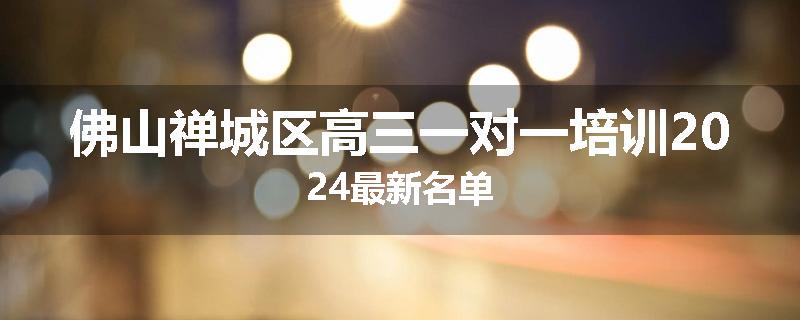 佛山禅城区高三一对一培训2024最新名单