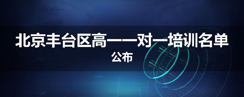 北京丰台区高一一对一培训名单公布