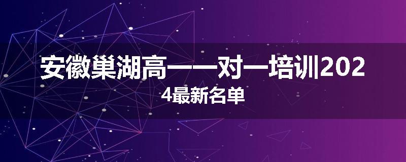 安徽巢湖高一一对一培训2024最新名单
