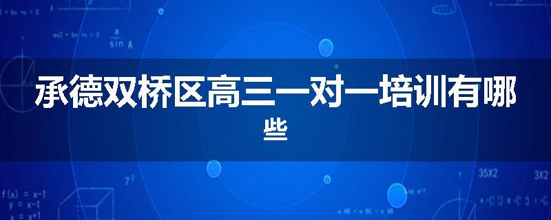 承德双桥区高三一对一培训有哪些