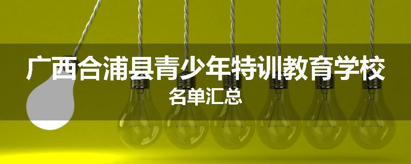 广西合浦县青少年特训教育学校名单汇总