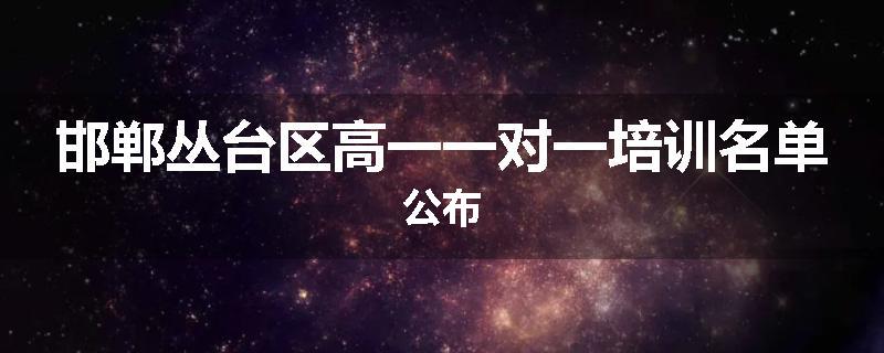 邯郸丛台区高一一对一培训名单公布