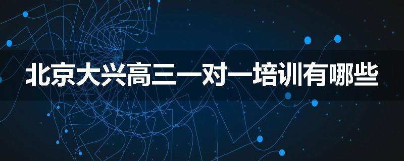 北京大兴高三一对一培训有哪些