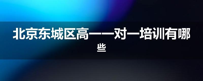 北京东城区高一一对一培训有哪些