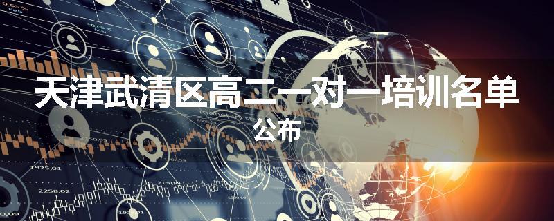 天津武清区高二一对一培训名单公布