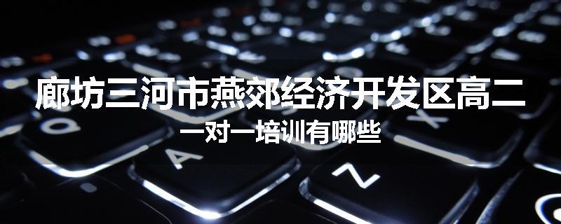 廊坊三河市燕郊经济开发区高二一对一培训有哪些