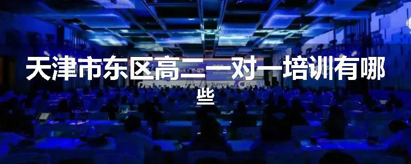天津市东区高二一对一培训有哪些