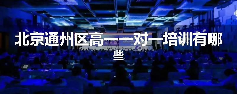 北京通州区高一一对一培训有哪些