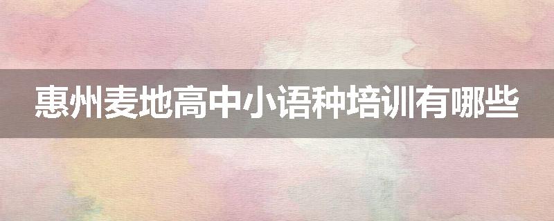 惠州麦地高中小语种培训有哪些