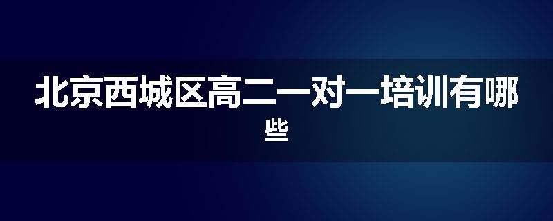 北京西城区高二一对一培训有哪些