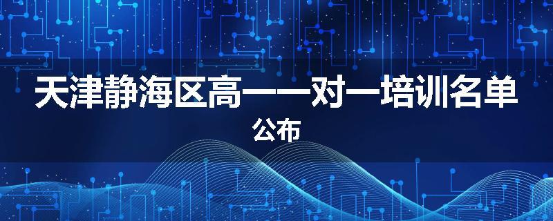 天津静海区高一一对一培训名单公布