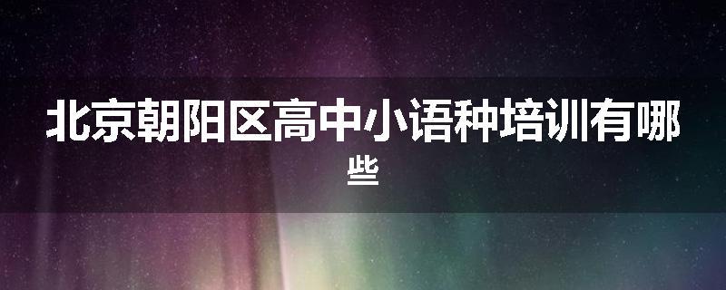 北京朝阳区高中小语种培训有哪些