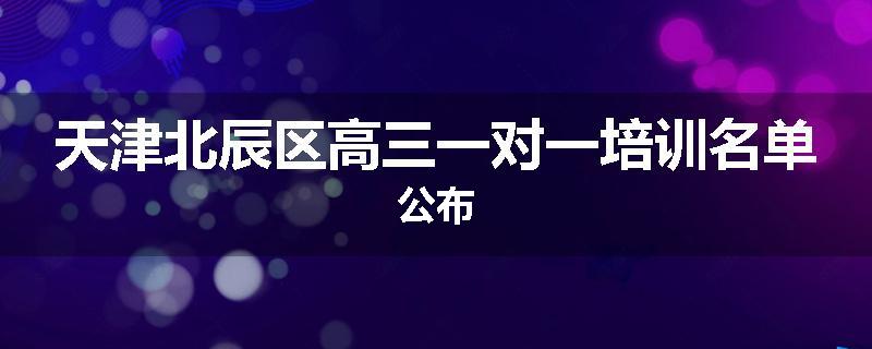 天津北辰区高三一对一培训名单公布