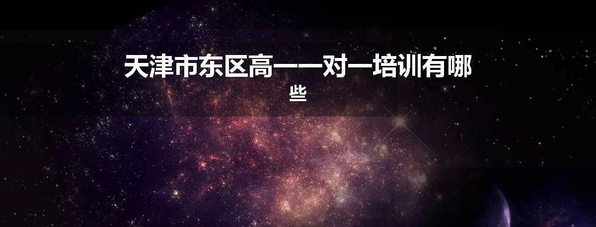 天津市东区高一一对一培训有哪些