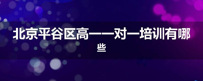 北京平谷区高一一对一培训有哪些