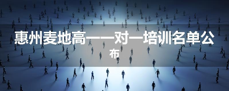 惠州麦地高一一对一培训名单公布