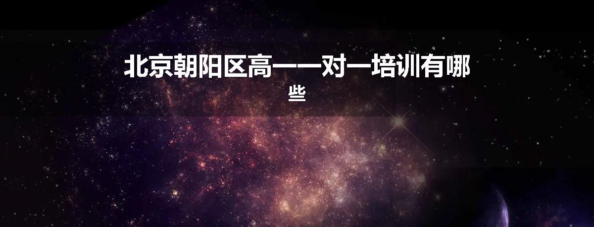 北京朝阳区高一一对一培训有哪些