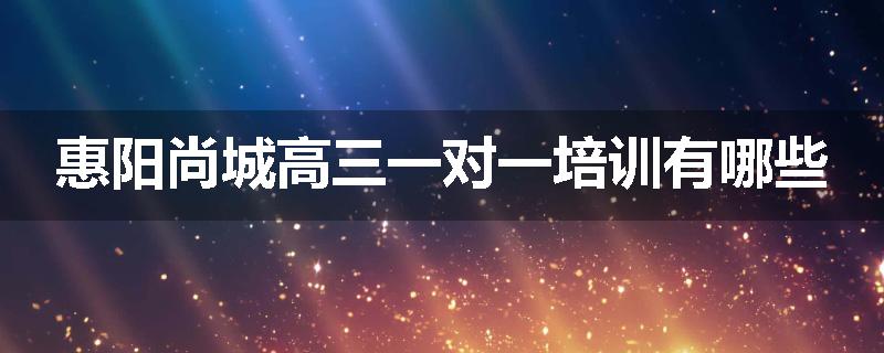惠阳尚城高三一对一培训有哪些