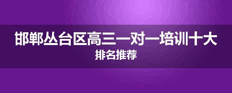 邯郸丛台区高三一对一培训十大排名推荐
