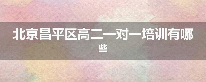 北京昌平区高二一对一培训有哪些
