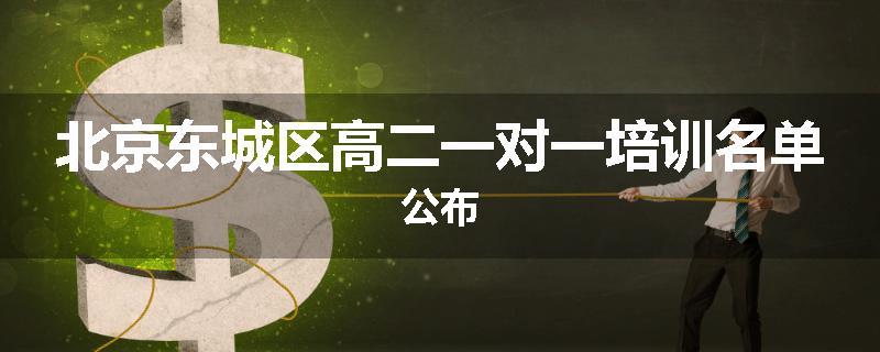 北京东城区高二一对一培训名单公布