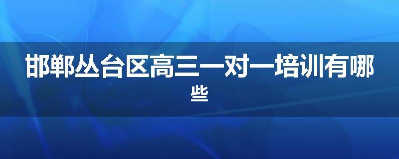 邯郸丛台区高三一对一培训有哪些