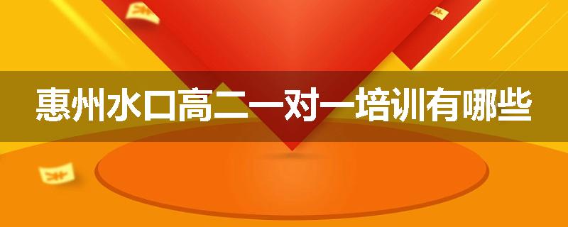 惠州水口高二一对一培训有哪些