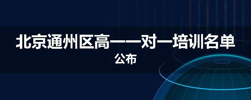 北京通州区高一一对一培训名单公布