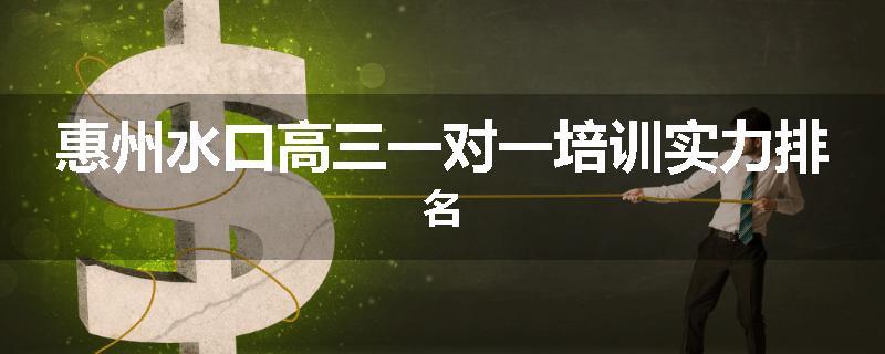 惠州水口高三一对一培训实力排名