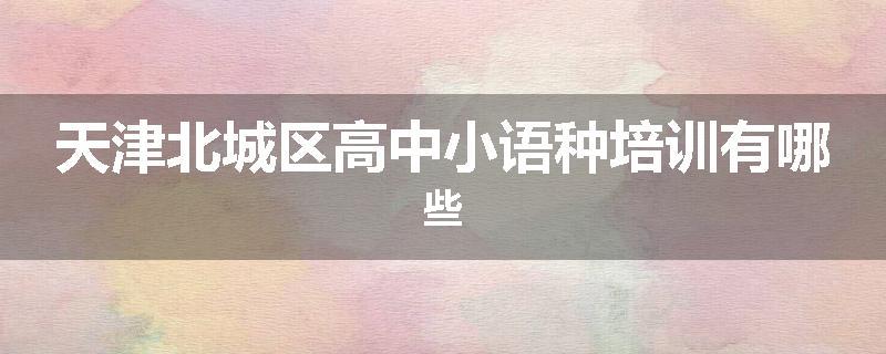 天津北城区高中小语种培训有哪些