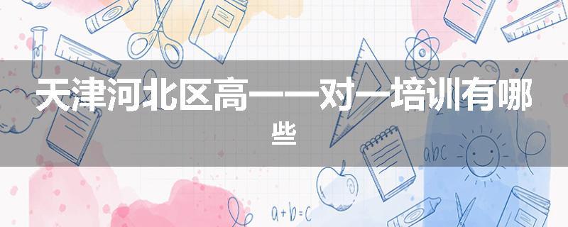 天津河北区高一一对一培训有哪些