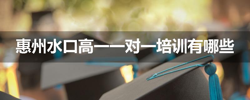 惠州水口高一一对一培训有哪些