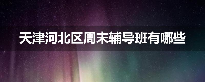 天津河北区周末辅导班有哪些