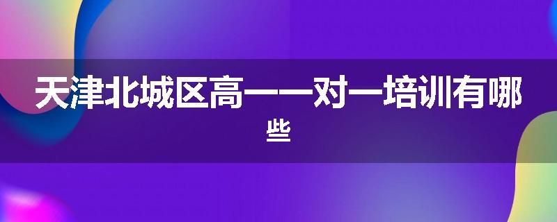 天津北城区高一一对一培训有哪些